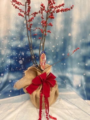 Ilex Berry Plant