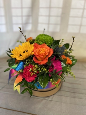 Rainbow Hatbox